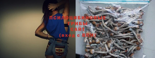 МДПВ Лиски
