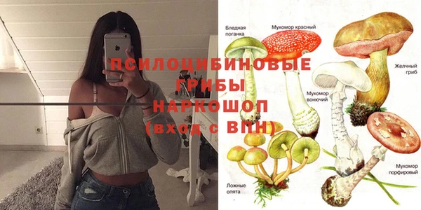 МДПВ Лиски