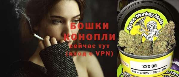 ешки Лагань
