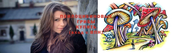 МДПВ Лиски