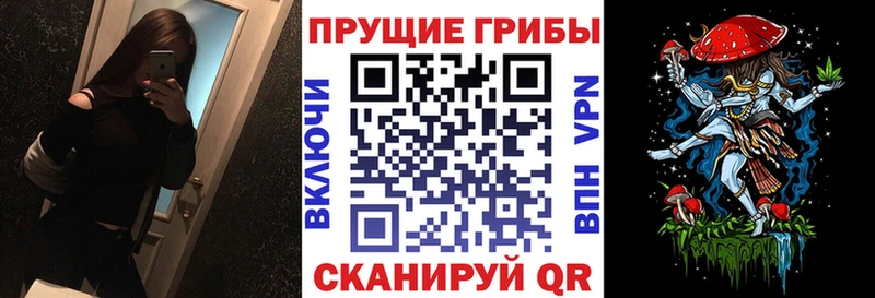 Псилоцибиновые грибы мицелий  Купить где  Павловский Посад 